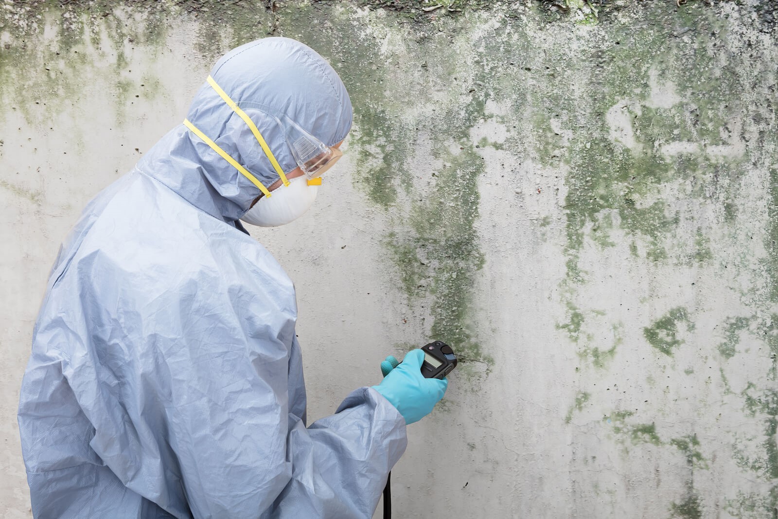 How Mold Inspection & Testing Prevents Long-Term Property Damage